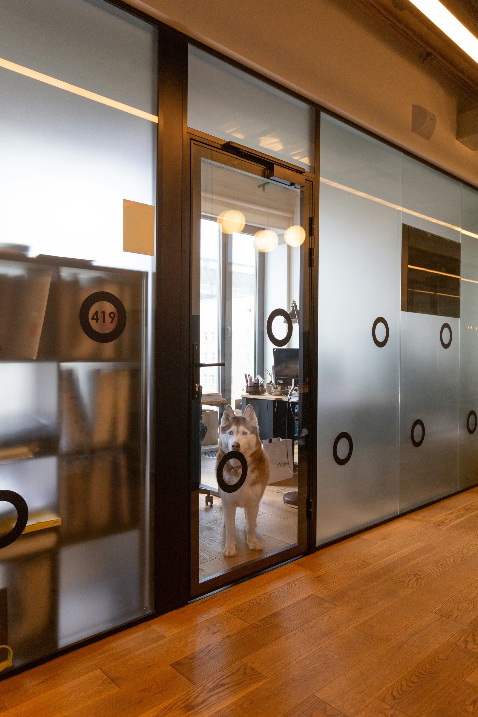 Modern office fit-out with frosted glass partitions, applied window graphics and a numbered glass door